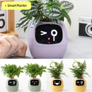 Smart tree Planter