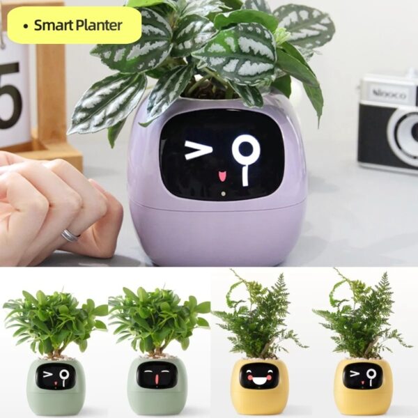 Smart tree Planter