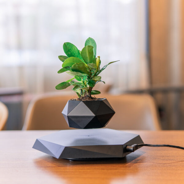 Floating Magnetic Levitating plant pot - Image 7