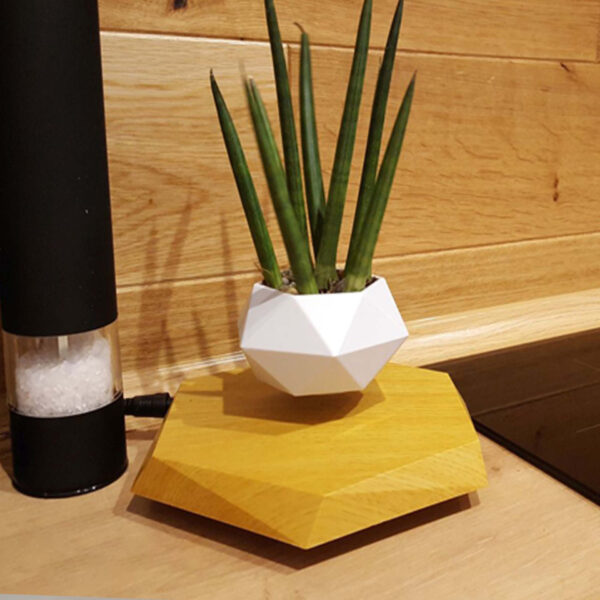 Floating Magnetic Levitating plant pot - Image 2