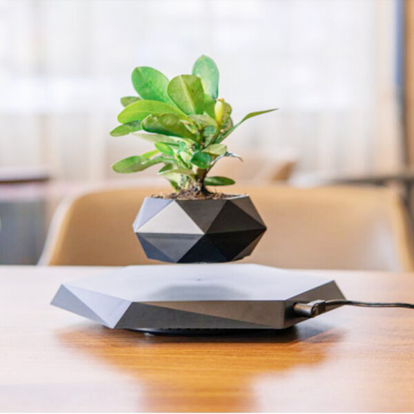 Floating Magnetic Levitating plant pot - Image 8
